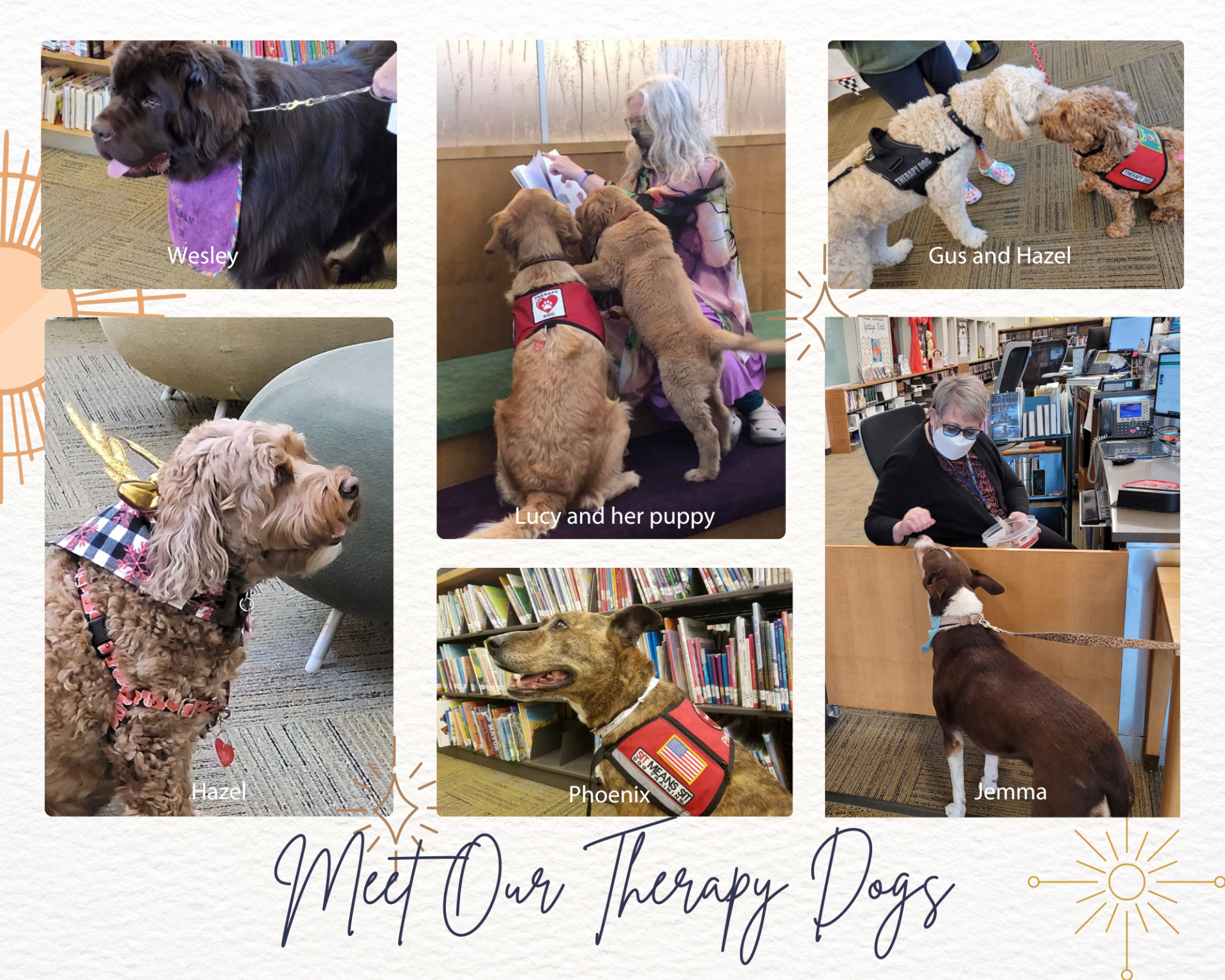 Meet our Therapy Dogs